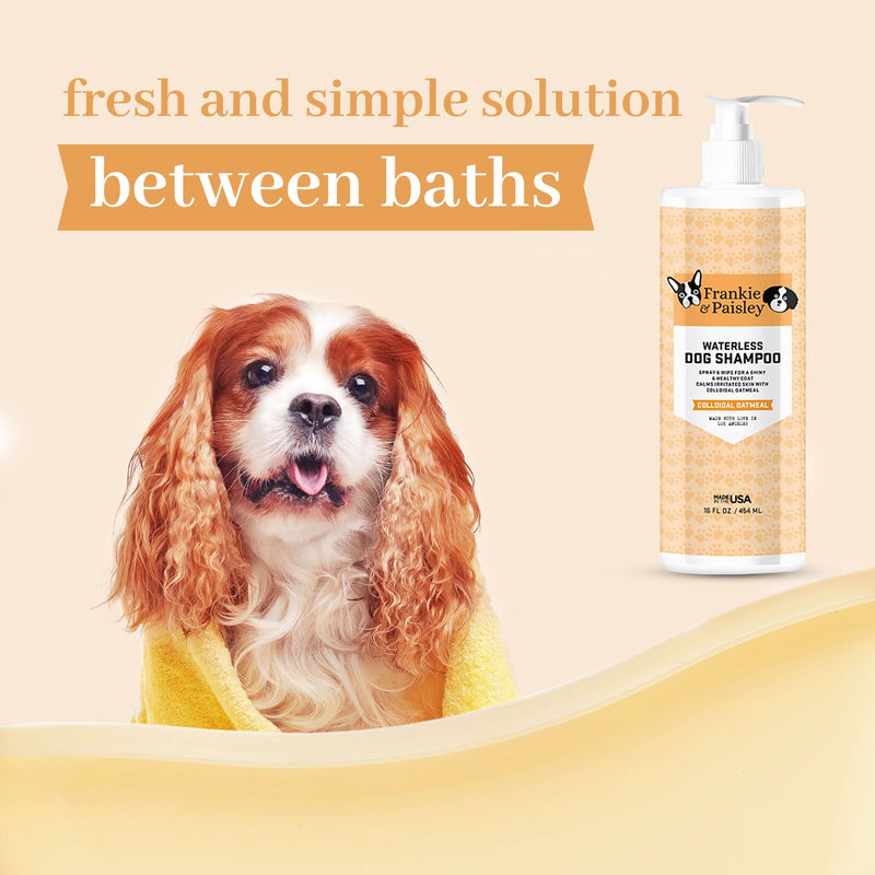 Waterless Dog Shampoo - Colloidal Oatmeal - 16oz Pet Grooming Frankie and Paisley Pet Products 