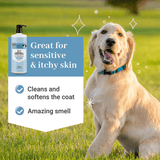 2-in-1 Shampoo + Conditioner Oatmeal & Aloe - 32oz Pet Grooming Frankie and Paisley Pet Products 
